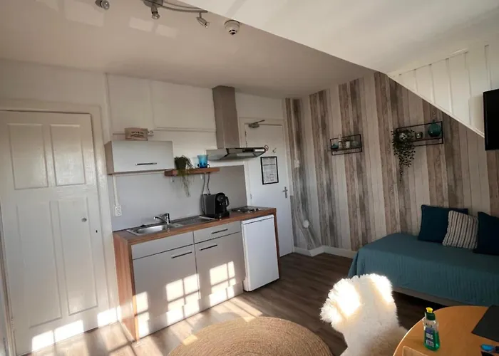 فندق مبيت وإفطار Bed & Breakfast Hotel Zandvoort زاندفورت