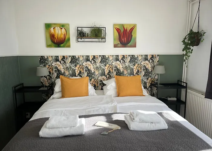 Bed & Breakfast Hotel Zandvoort Couette-café Zandvoort